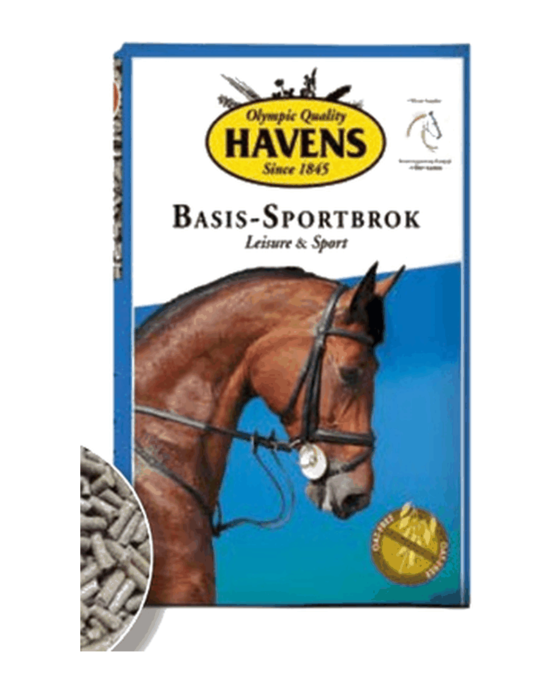 Confezione di BASIS-SPORTBROK di Havens