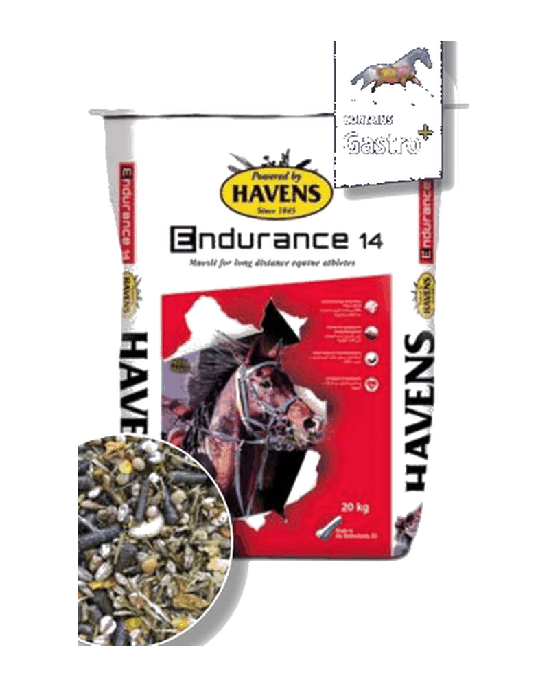 Confezione di ENDURANCE 14 di Havens