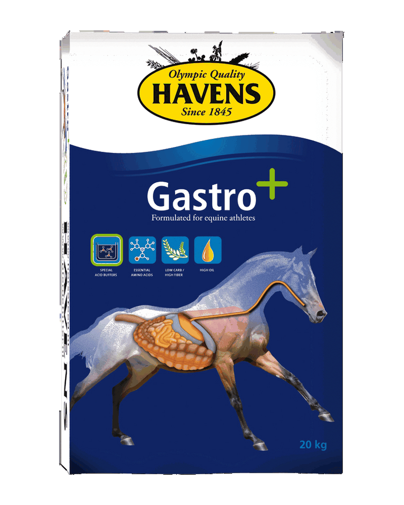 Sacco da 20 kg di GASTRO+ di Havens