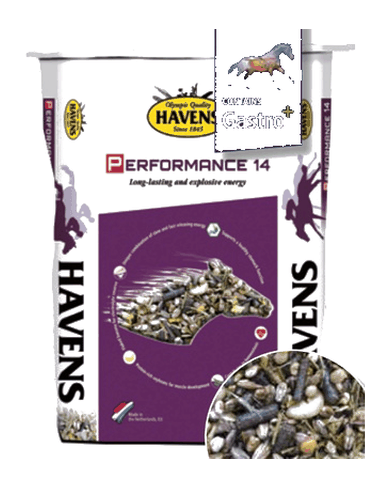 Confezione di PERFORMANCE 14 di Havens