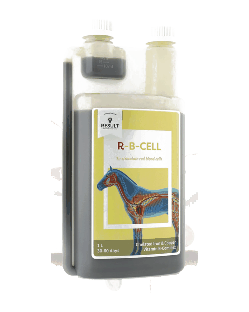 Confezione di R-B-CELL di Result Equine