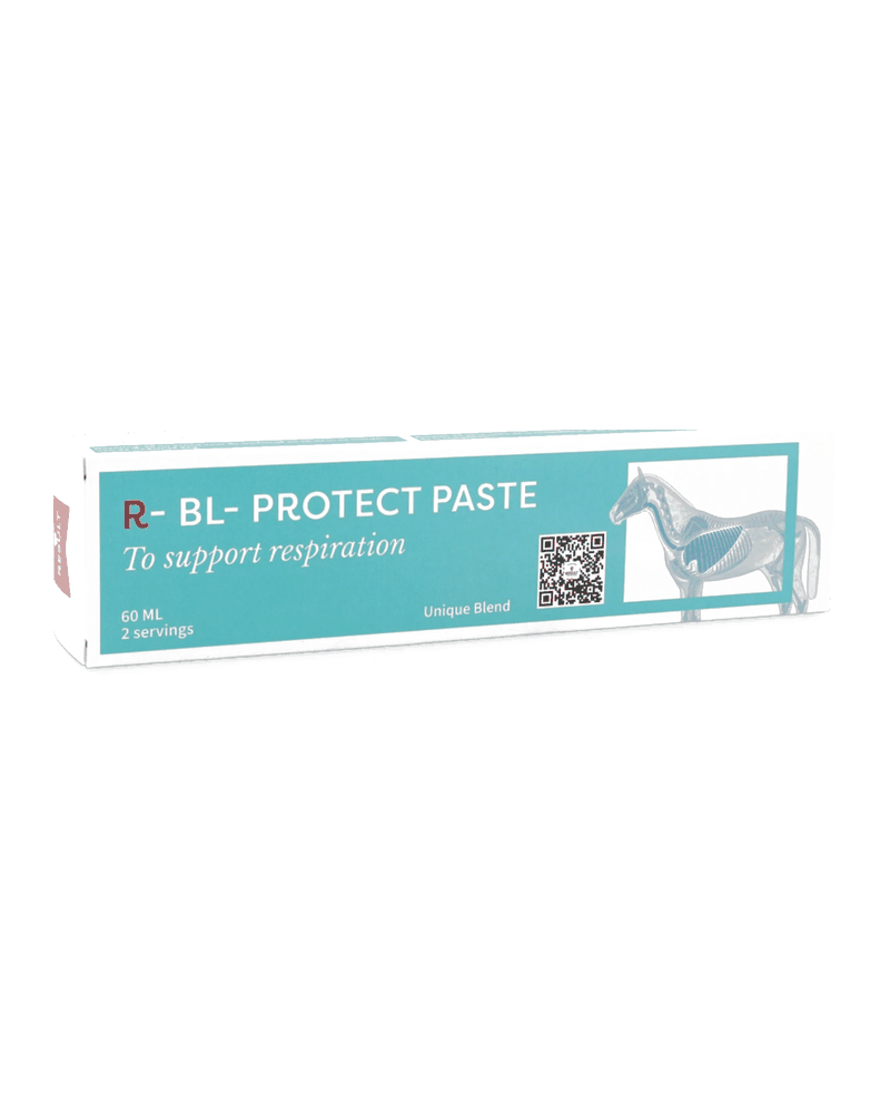 Confezione di R-BL-PROTECT PASTE di Result Equine