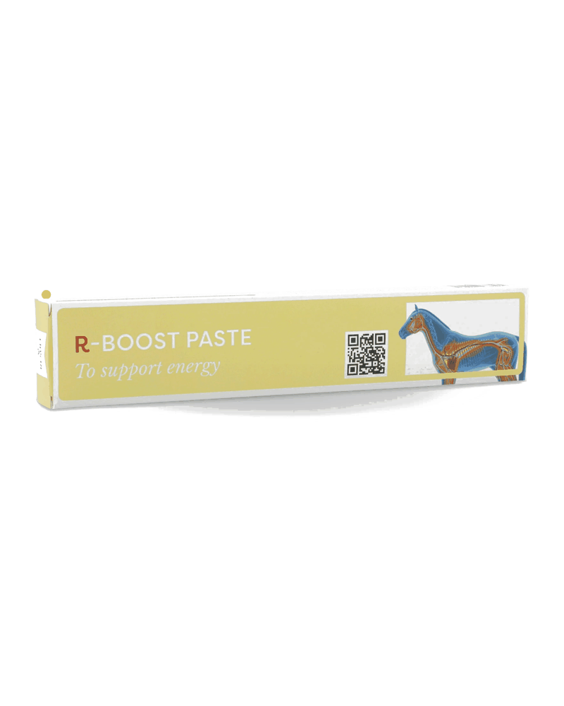Confezione di R-BOOST PASTE di Result Equine