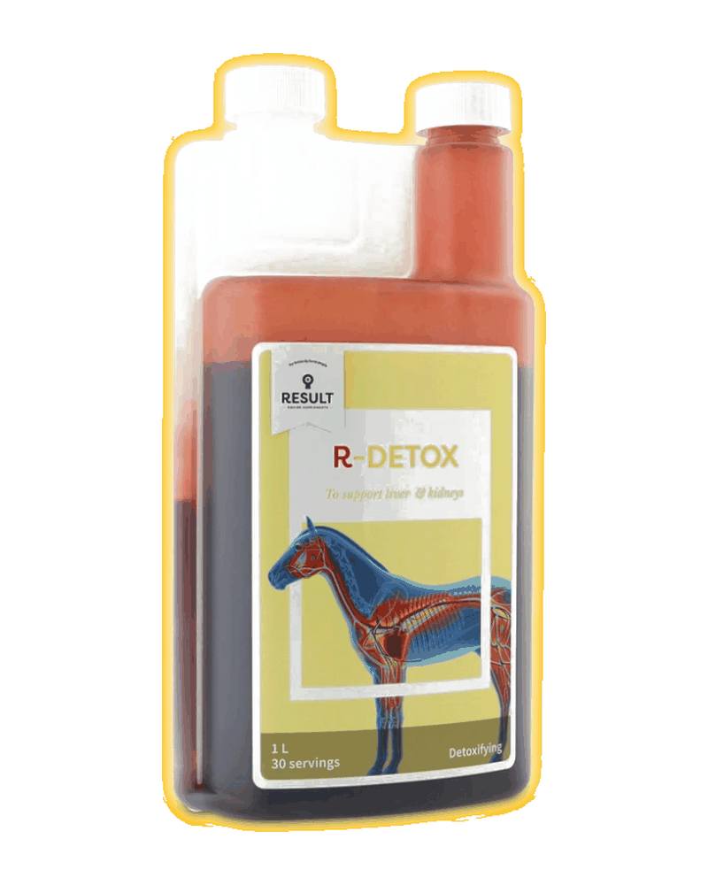 Confezione di R-DETOX di Result Equine