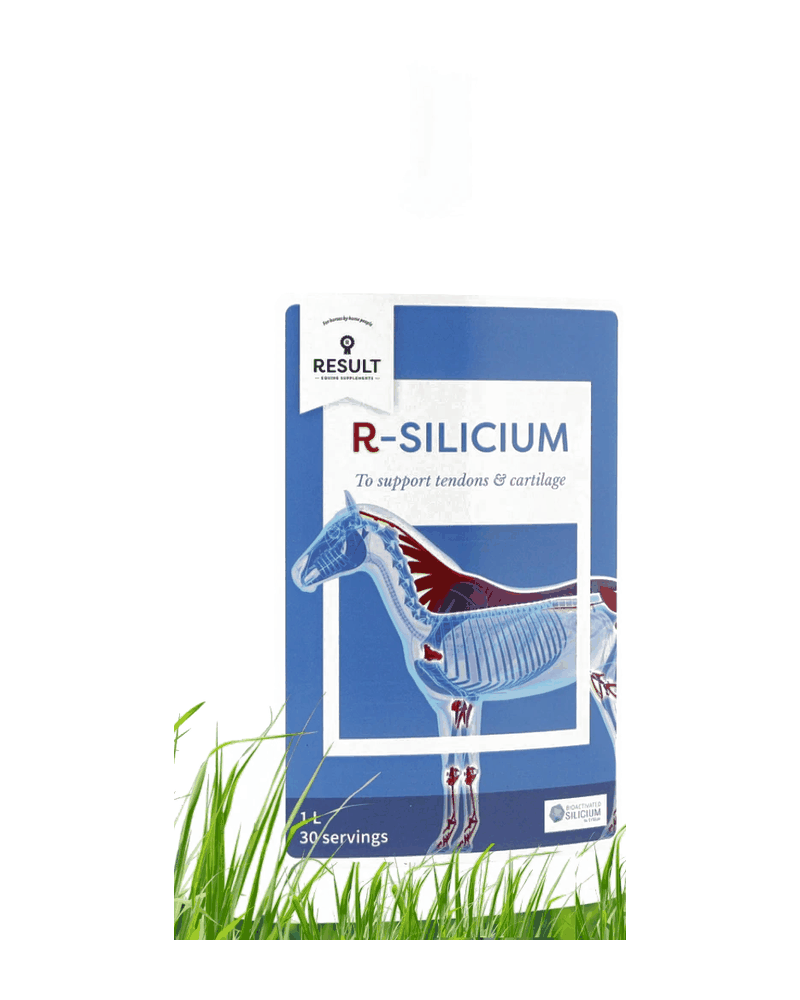 Confezione di R-SILICIUM di Result Equine
