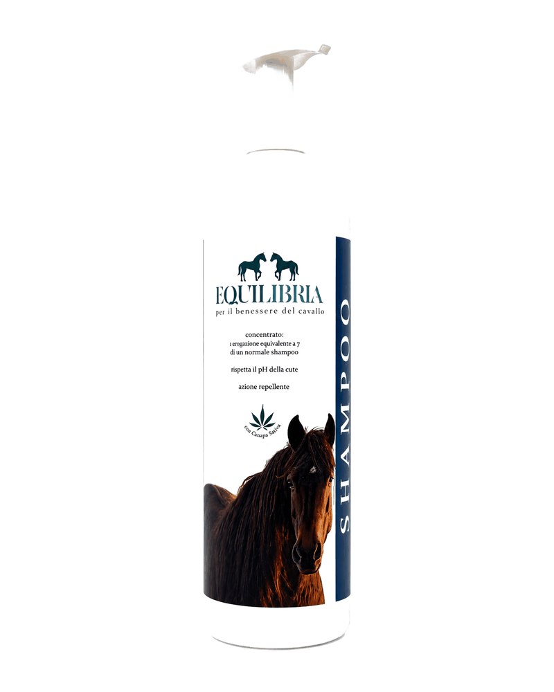 Confezione di Shampoo concentrato Equilibria di Equilibria